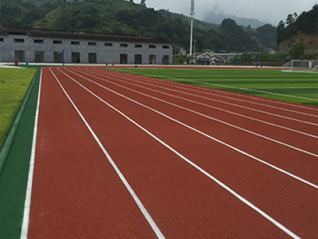 全塑型塑胶跑道
